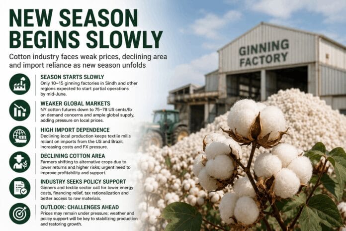 Cotton Season Begins