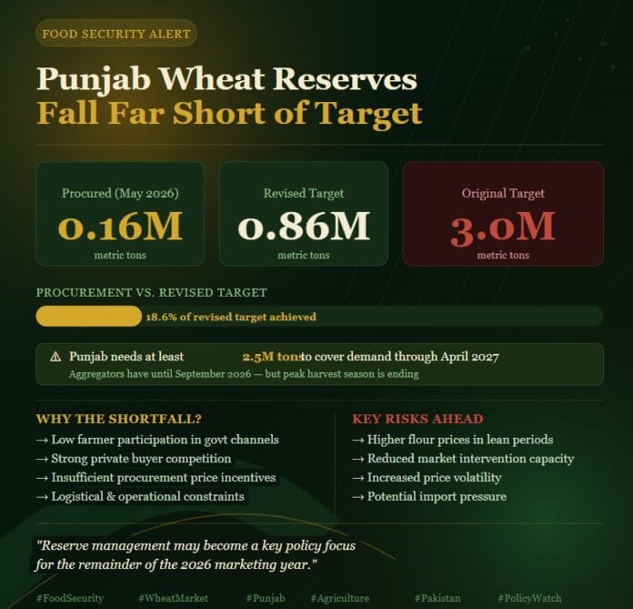 Punjab wheat reserves