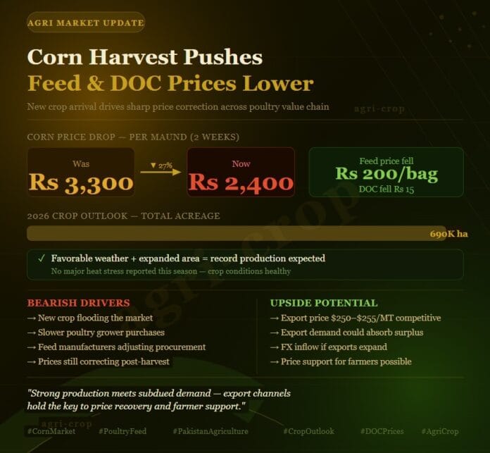 Corn Harvest pushes feed